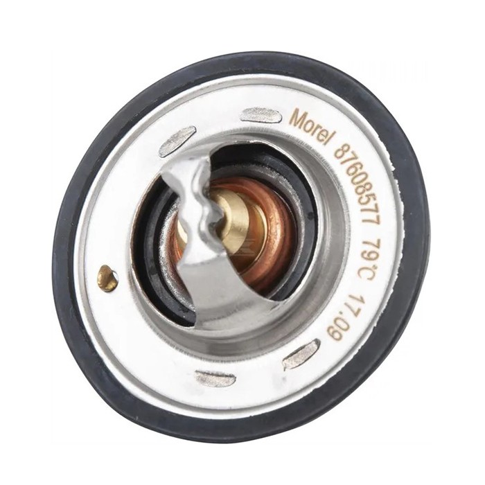 Bild von Thermostat, 79°C, Fiat 4589187, 98463637, 87608577, 5088484