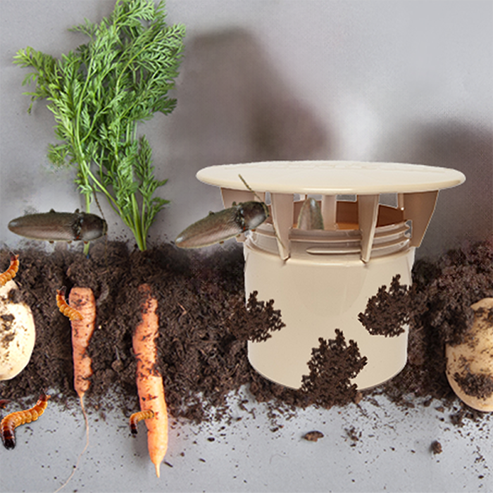 Picture of Vaba za strune Plantella