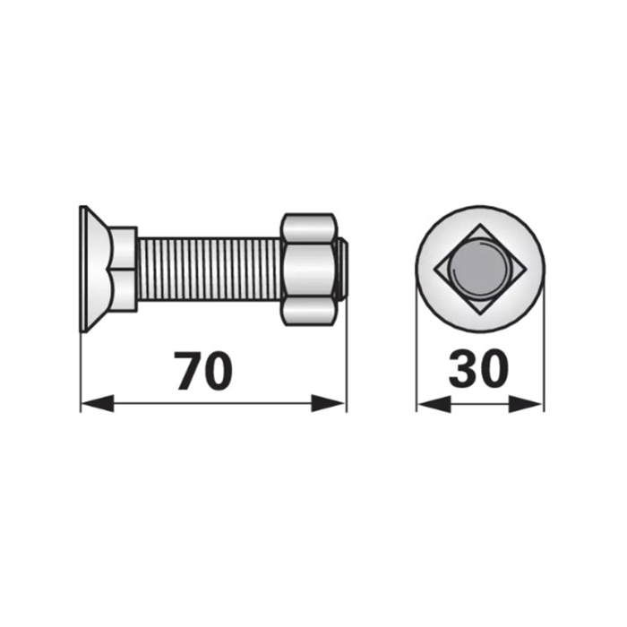 Slika Vijak lemeža 4-kotni M16x70mm