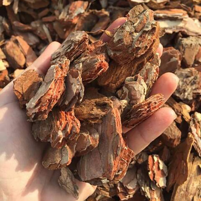 Slika Lubje okrasno Pino Rosso Premium Florenter 25-40mm 70l