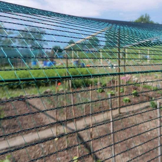 Slika Mreža zaščitna proti toči 2,00 X 10m zelena