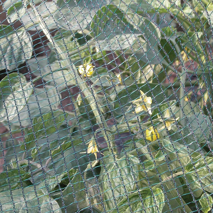 Slika Mreža zaščitna proti toči 2,00 X 10m zelena