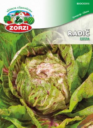 Bild von Radič Variegata Di Lusia 228 - semenska vrečka Zorzi