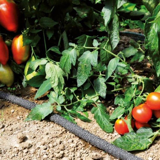 Slika Cev za namakanje 1/2 15M Superkit