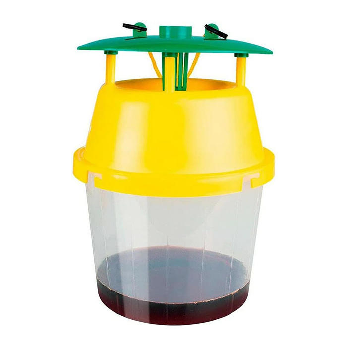 Bild von Insektenfalle