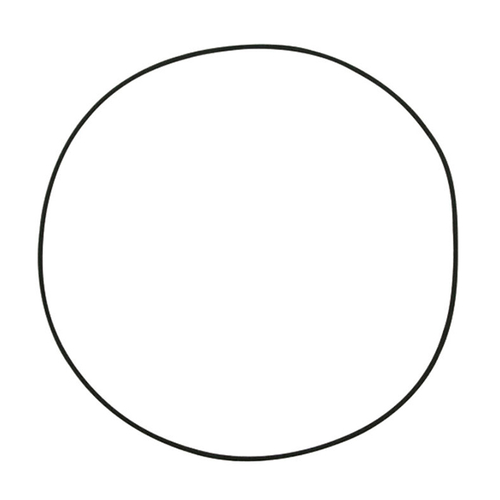 Slika Gumica o-ringa prednjega mosta Case, John Deere - 81313C1