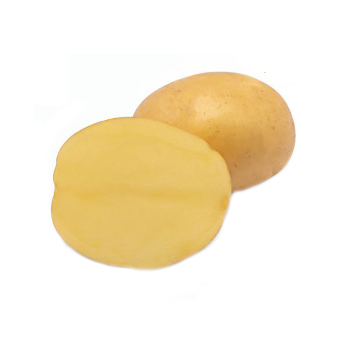 Slika Filipa krompir semenski A 35/55 25kg