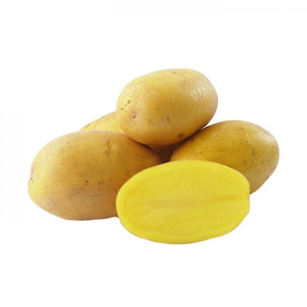 Picture of LARISSA SEED POTATOES A 28/35, 2.5kg