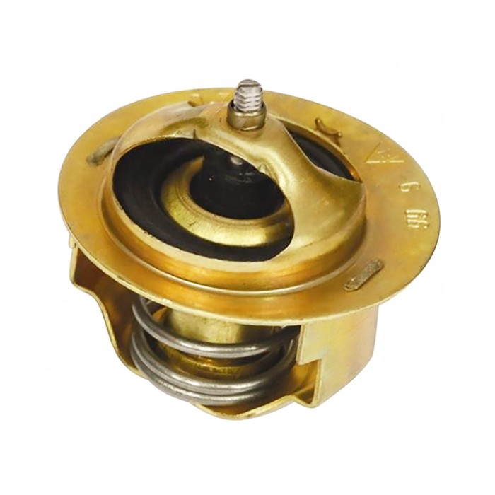 Slika Termostat Same 82 °C 0.009.4639.1