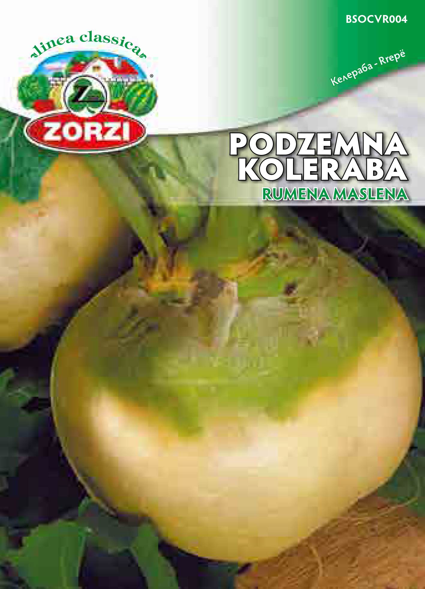 Picture of Koleraba rumena maslena 1187