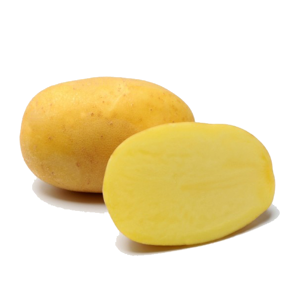 Slika Agria krompir semenski A 28/35 2,5kg