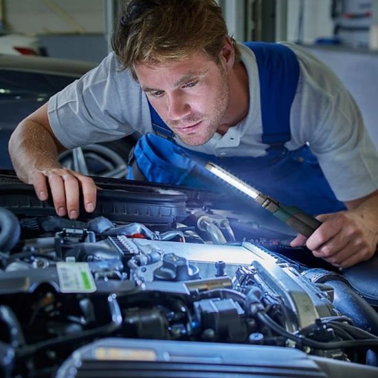 Bild von Ročna svetilka Led Philips ECOPRO61