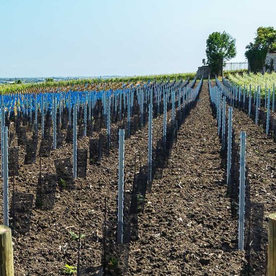 Slika Mreža zaščitna za drevesa fi=15 cm, Višina=110 črna