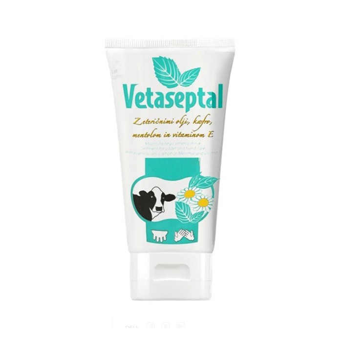 Picture of Vetaseptal 100 ml