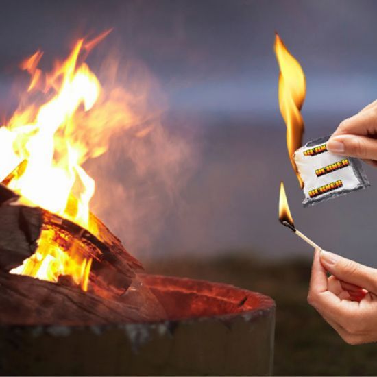 Picture of IGNITER BIO “BURNER”, 24/1