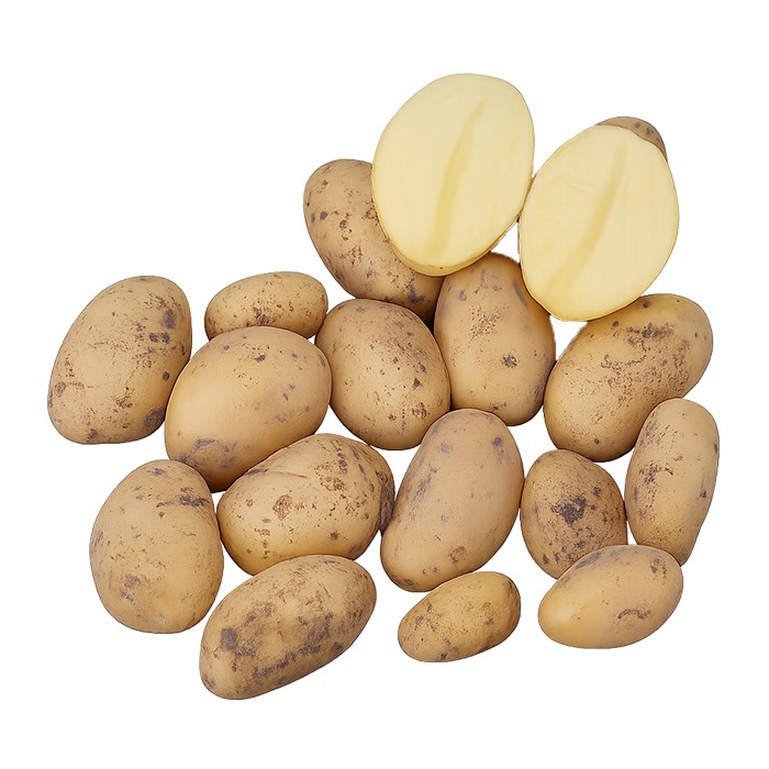 Bild von Siena krompir semenski A 35/50 5kg