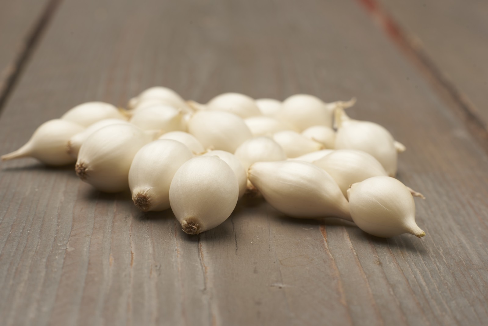 Slika Čebulček semenski majski srebrnjak 8-21 500g