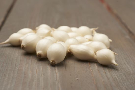 Slika Čebulček semenski majski srebrnjak 8-21 500g