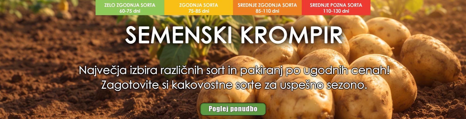 Semenski krompir