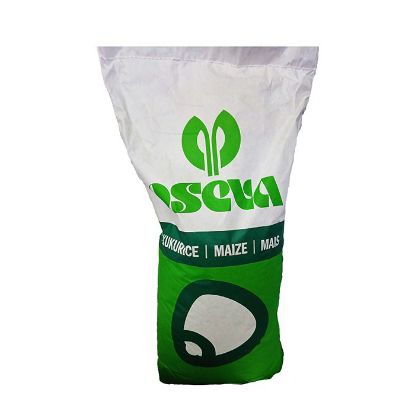 Slika Koruza semenska Ze Zeamax zobanka Oseva Premium tretiranje