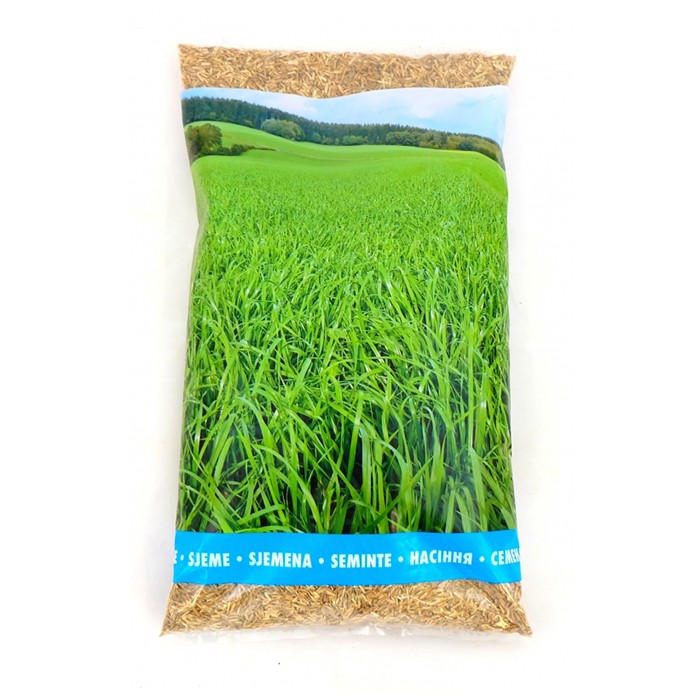 Picture of Mnogocvetna ljuljka Barultima 1 kg