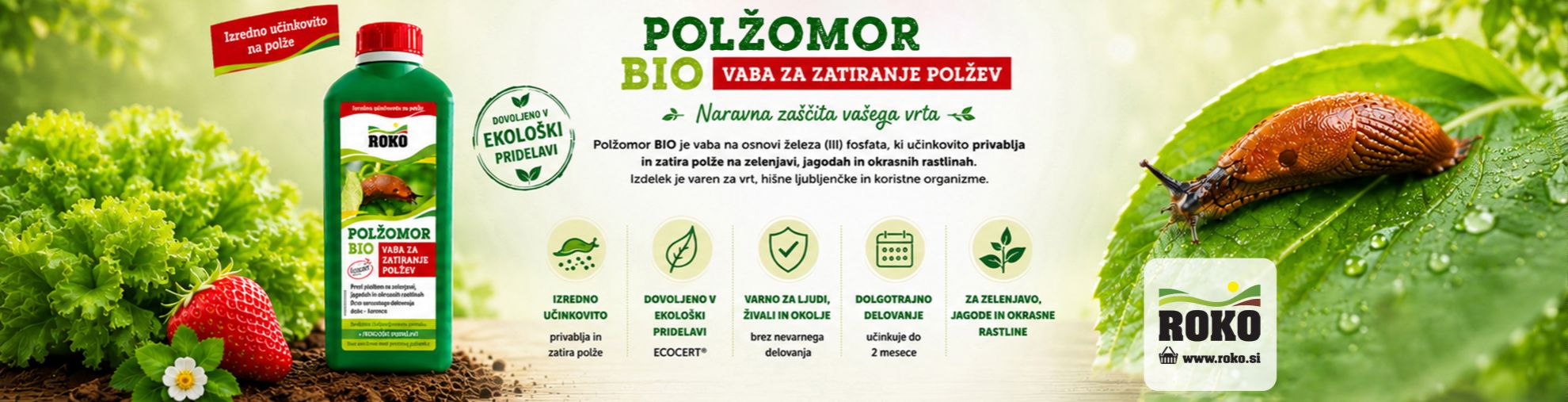 Polžomor