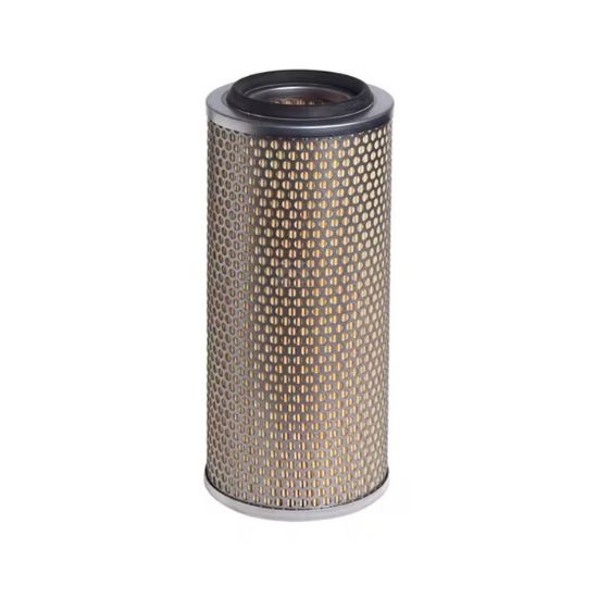 Bild von Luftfilter, grob, LX200