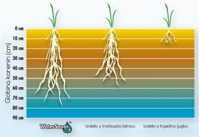 Globina korenin travne mešanice Water Saver