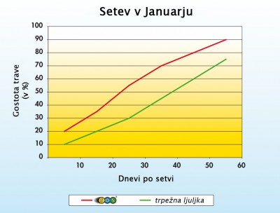 Rast trave SOS za nogometna igrišča v Januarju